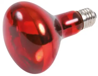 Trixie Reptiland Heatspot infrarood warmtelamp 100 W E27 - Afbeelding 2
