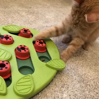 Nina Ottosson Puzzle & Play Buggin Out kattenpuzzel groen 35 x 26 x 4 cm - Afbeelding 4