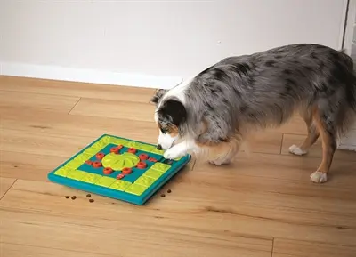 Nina Ottosson Multipuzzle Blu 38 x 38 x 5 cm – intelligentiespel hond - Afbeelding 4