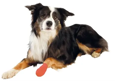 Trixie verband met bitterstoffen 5 cm x 4,5 m – assorti, voor hond - Afbeelding 6