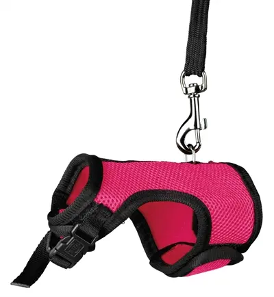 Trixie softtuig met riem voor ratten 12-18 cm x 120 cm – assorti - Afbeelding 3