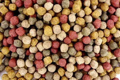 Utopia Diertotaal vijverkorrel drijvend 6 mm 2 kg - Afbeelding 6