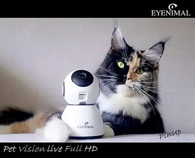 Eyenimal Pet Vision Live HD huisdiercamera met geluiddetectie - Afbeelding 6