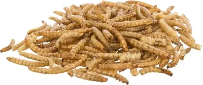 Trixie meelwormen gedroogd 5 x 200 g – snack voor knaagdieren en vogels - Afbeelding 2