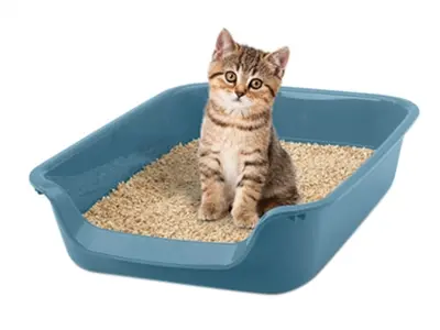 Savic Junior kattenbak blauw 56 x 39 x 13 cm – open, lage instap - Afbeelding 4