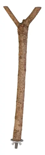 Trixie zitstok Y-vorm schorshout 35 x 1,8 cm – 3 stuks