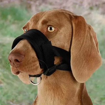 Trixie muilkorf nylon zwart 20-30 cm – verstelbaar, ook als halster - Afbeelding 2