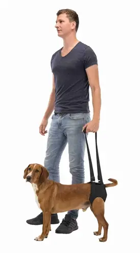 Trixie loophulp voor honden zwart M 55-65 cm – met handvatten - Afbeelding 2