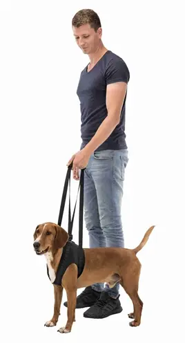 Trixie loophulp voor honden zwart M 55-65 cm – met handvatten - Afbeelding 3