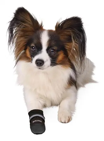 Trixie pootbescherming Walker Care Comfort zwart S – 2 stuks - Afbeelding 2