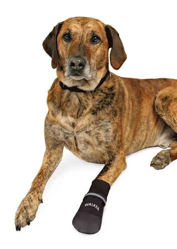 Trixie pootbescherming Walker Care Comfort zwart XXL – 2 stuks - Afbeelding 2
