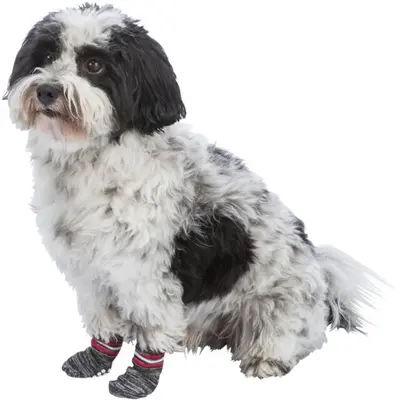 Trixie hondensokken anti-slip grijs XL – 2 stuks - Afbeelding 3