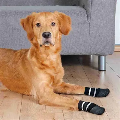 Trixie hondensokken anti-slip zwart XL – 2 stuks, met rubberlaag - Afbeelding 4