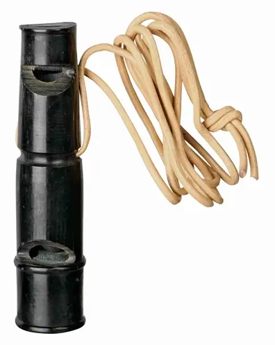 Trixie dubbeltoonfluitje buffelhoorn 9 cm – met leren band