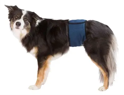 Trixie plasband voor reuen mesh donkerblauw 29-37 cm – 2 stuks