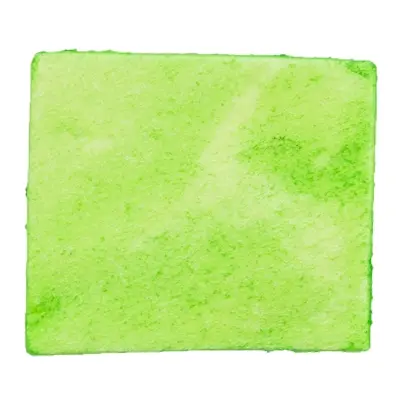 Trixie Denta Fun Spirulina Chewing Chips runderhuid 50 g – 6 stuks - Afbeelding 3