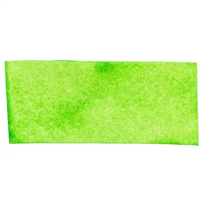 Trixie Denta Fun Spirulina Chewing Chips runderhuid 100 g – 6 stuks - Afbeelding 3