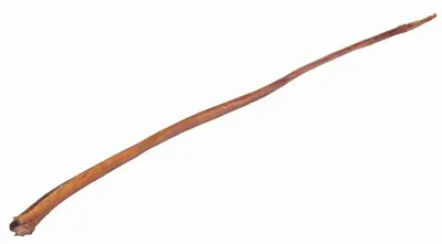 Trixie bullenpees gedroogd 70-80 cm – 10 stuks