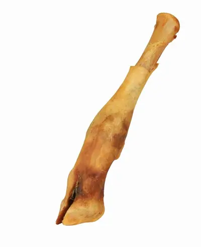 Trixie schapenonderbeen gedroogd 16-18 cm – 20 stuks