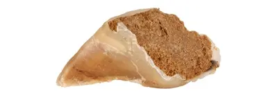 Trixie kauwhoef rund met vulling 115 g