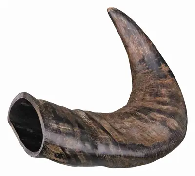 Trixie natuur-kauwhoorn buffel M – 6 stuks