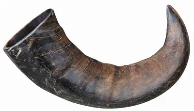 Trixie natuur-kauwhoorn buffel L – 6 stuks