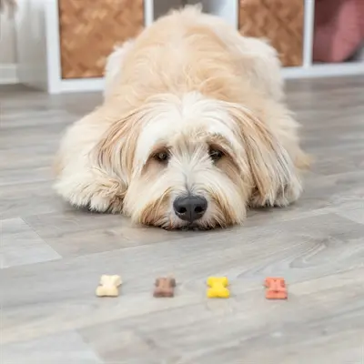 Trixie Cookie Snack Bones 1,3 kg – knapperige hondenkoekjes - Afbeelding 4