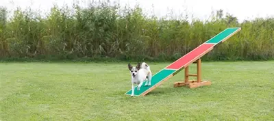 Trixie agility wip hout 300 x 54 x 34 cm – met slipvaste raakvlakken