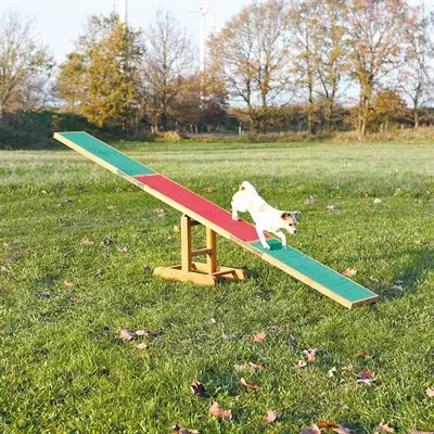 Trixie agility wip hout 300 x 54 x 34 cm – met slipvaste raakvlakken - Afbeelding 2