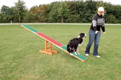 Trixie agility wip hout 300 x 54 x 34 cm – met slipvaste raakvlakken - Afbeelding 3