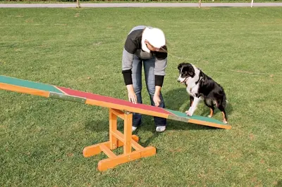 Trixie agility wip hout 300 x 54 x 34 cm – met slipvaste raakvlakken - Afbeelding 4