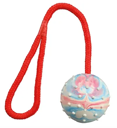 Trixie natuurrubber bal aan koord 30 x 6 x 6 cm – hondenspeelgoed - Afbeelding 4