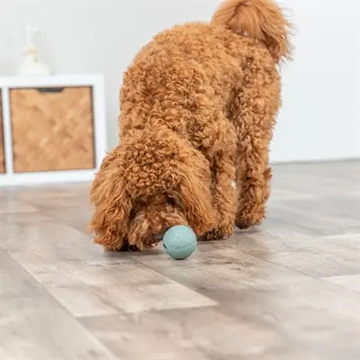 Trixie snackbal natuurrubber 6 cm – met labyrint - Afbeelding 2