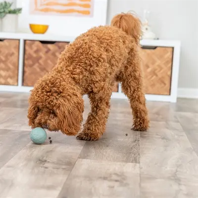 Trixie snackbal natuurrubber 6 cm – met labyrint - Afbeelding 3