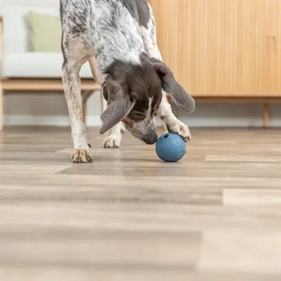 Trixie snackbal natuurrubber blauw 7 cm – met labyrint - Afbeelding 2