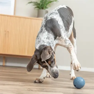 Trixie snackbal natuurrubber blauw 7 cm – met labyrint - Afbeelding 4