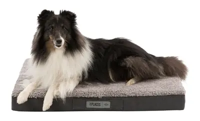 Trixie orthopedisch hondenmatras Vital Bendson donkergrijs 100 x 65 cm - Afbeelding 10