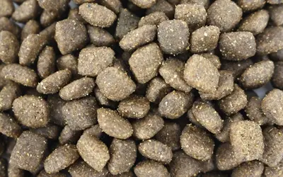 I Am hondensnack Mini Rund Truffle 300 g – beloningsbrokjes - Afbeelding 4