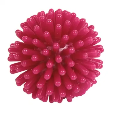 Trixie egelbal vinyl 3 cm assorti – speelbal in kunststof ton - Afbeelding 5