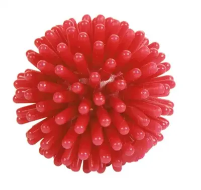 Trixie egelbal vinyl 3 cm assorti – speelbal in kunststof ton - Afbeelding 9