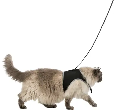 Trixie softtuig met riem voor katten zwart 36-54 cm – ademend mesh - Afbeelding 3