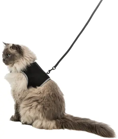 Trixie softtuig met riem voor katten zwart 36-54 cm – ademend mesh - Afbeelding 4