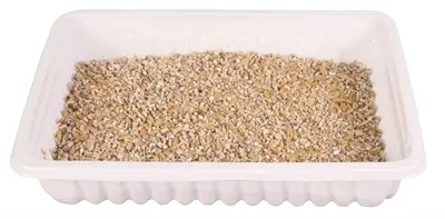Trixie softgras bak 12 x 100 g – kattengras om zelf te kweken - Afbeelding 3