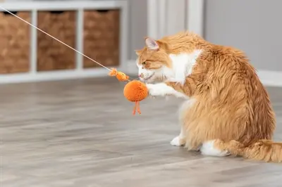 Trixie kattenspeeltje kip aan elastisch koord met catnip 20 cm – 4 stuks - Afbeelding 3