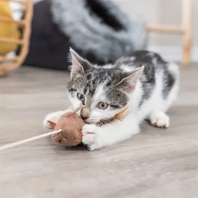 Trixie speelhengel muis met veren 50 cm – kattenhengel - Afbeelding 4