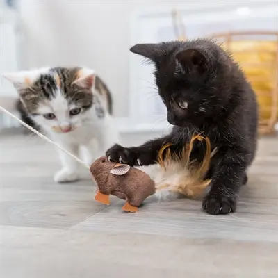 Trixie speelhengel muis met veren 50 cm – kattenhengel - Afbeelding 5