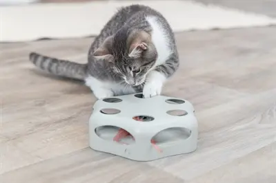 Trixie Turning Feather kattenspeeltje Ø 22 cm – met bewegende veer - Afbeelding 7