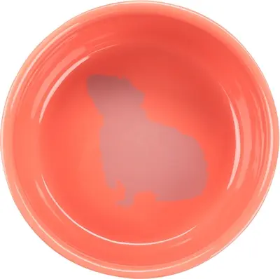 Trixie voerbak keramiek caviamotief 250 ml, 11 cm – assorti - Afbeelding 9