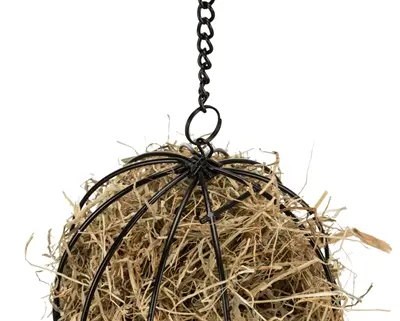 Trixie voerbal metaal 12 x 12 x 12 cm – met beschermring - Afbeelding 4