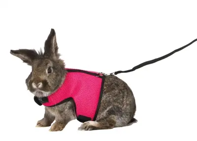 Trixie softtuig voor grote konijnen 25-40 cm – verstelbaar - Afbeelding 5